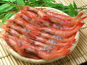 甘海老