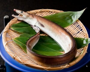 はも