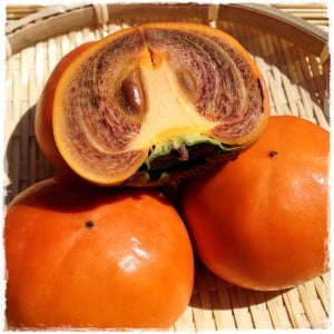 西村早生柿