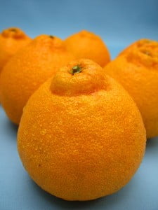 でこぽん