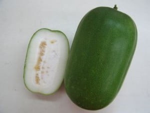 冬瓜
