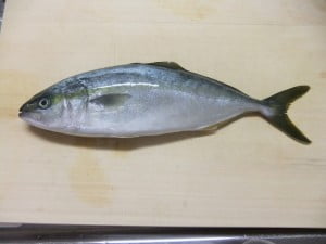 わかし